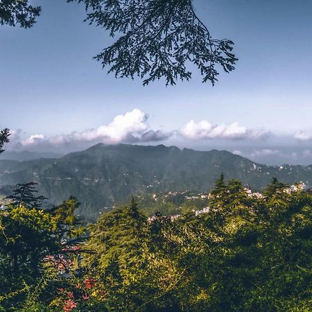 Stayvista At Rose Cottage - Bonfire & Scenic View Shimla Exteriör bild