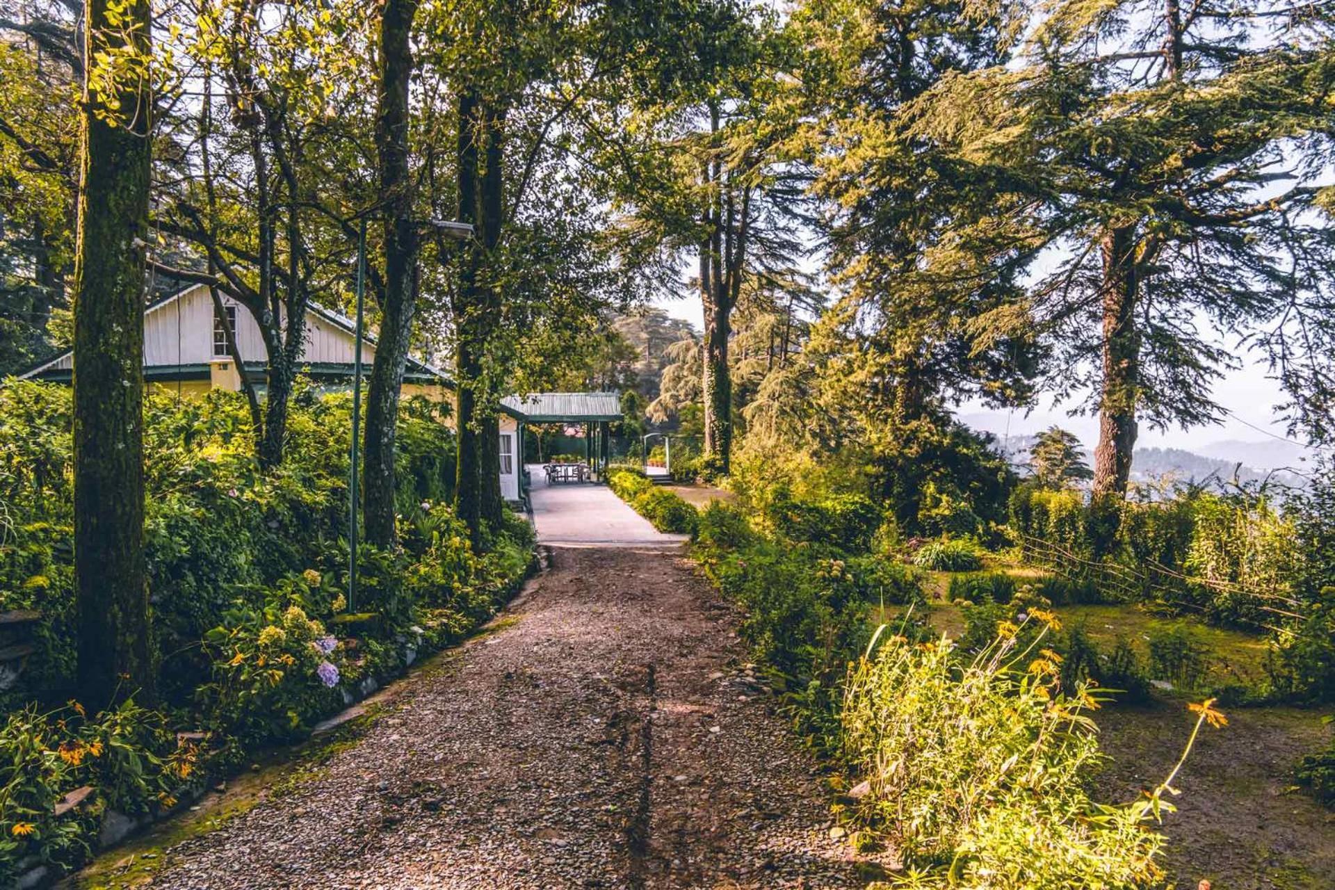 Stayvista At Rose Cottage - Bonfire & Scenic View Shimla Exteriör bild